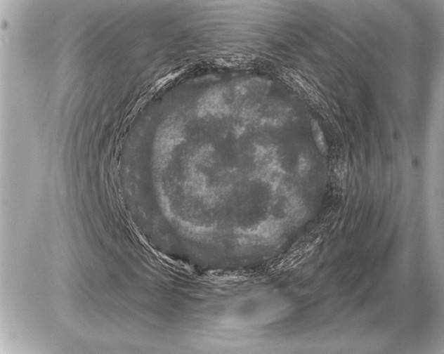 X0000085820817200704091630