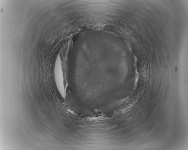 X0000085820818200704091630