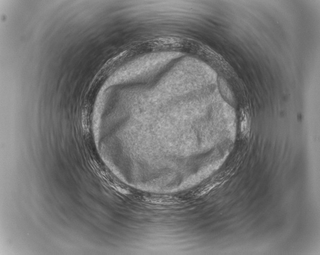 X0000085820819200704091630