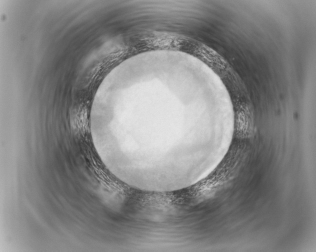 X0000085820820200704091630