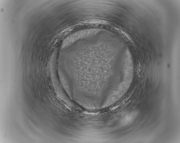 X0000085820821200704091630