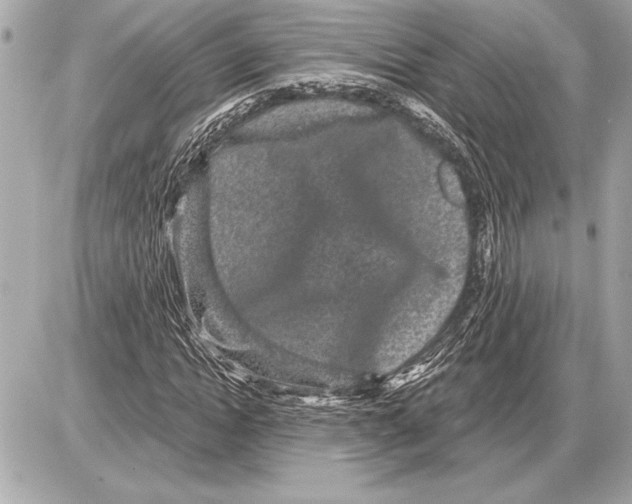 X0000085820822200704091630