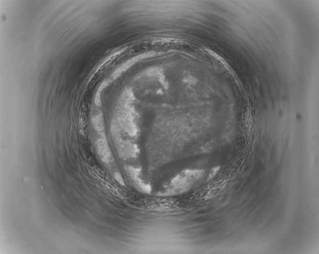 X0000085820823200704091630