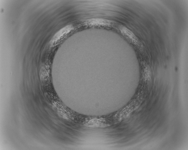 X0000085820824200704091630