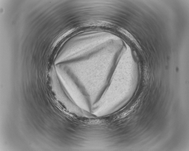 X0000085820826200704091630