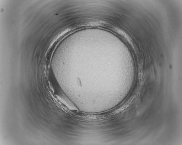 X0000085820827200704091630