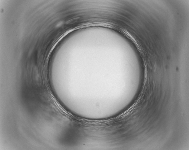 X0000085820828200704091630