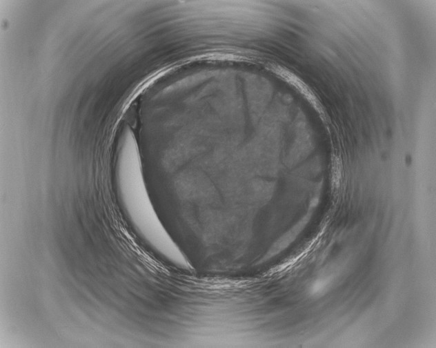 X0000085820829200704091630