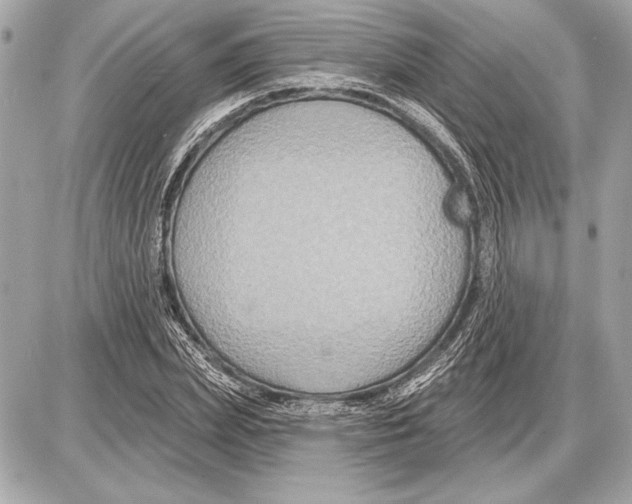 X0000085820831200704091630