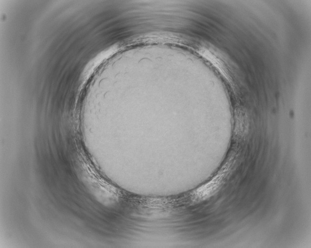 X0000085820832200704091630