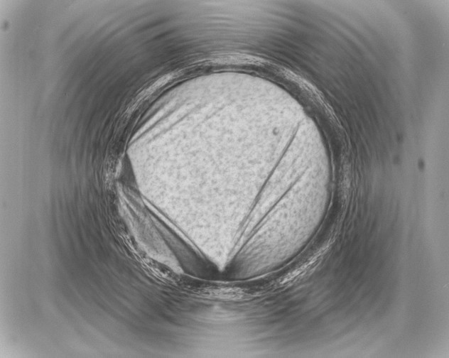 X0000085820833200704091630