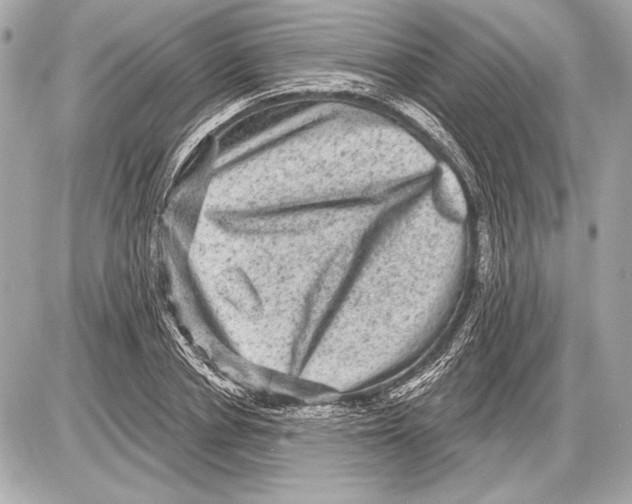 X0000085820834200704091630