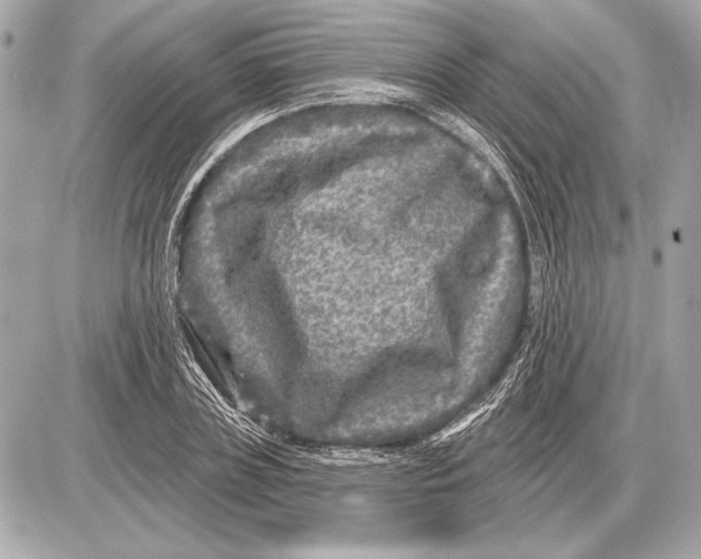 X0000085820835200704091630