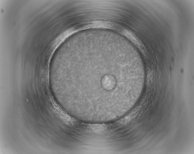 X0000085820836200704091630