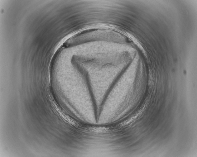 X0000085820837200704091630