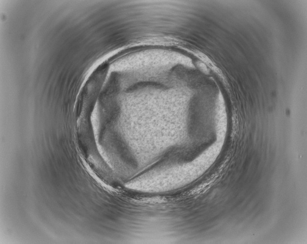 X0000085820838200704091630