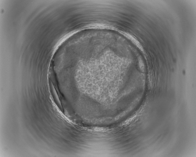 X0000085820839200704091630