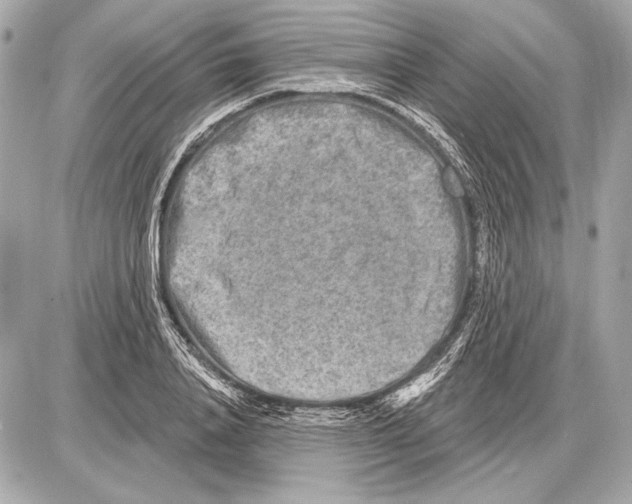 X0000085820840200704091630