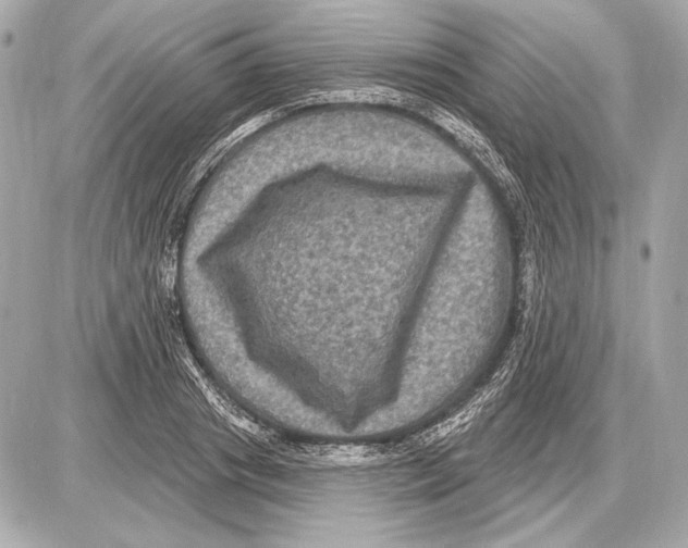 X0000085820841200704091630