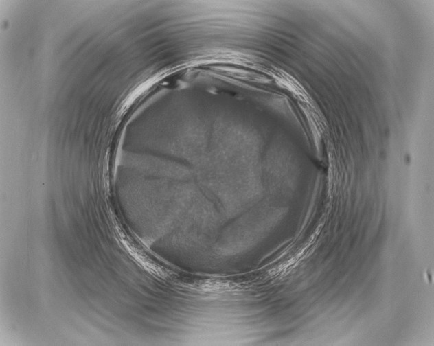 X0000085820842200704091630