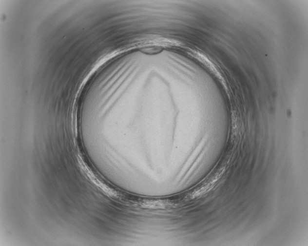 X0000085820843200704091630