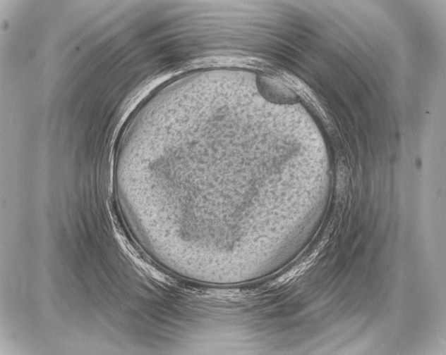 X0000085820844200704091630