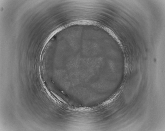 X0000085820845200704091630