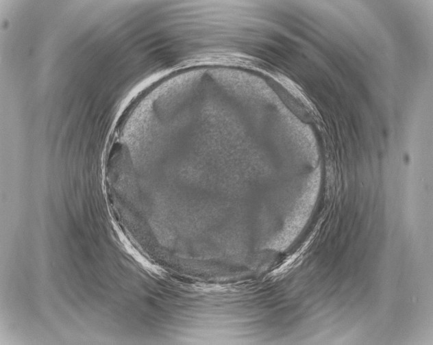 X0000085820846200704091630