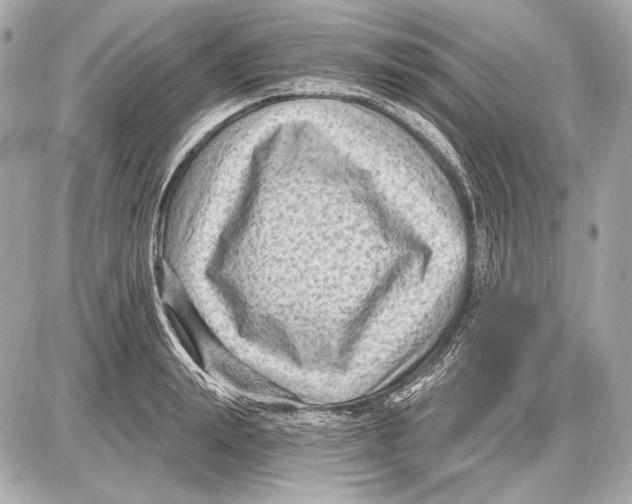 X0000085820847200704091630