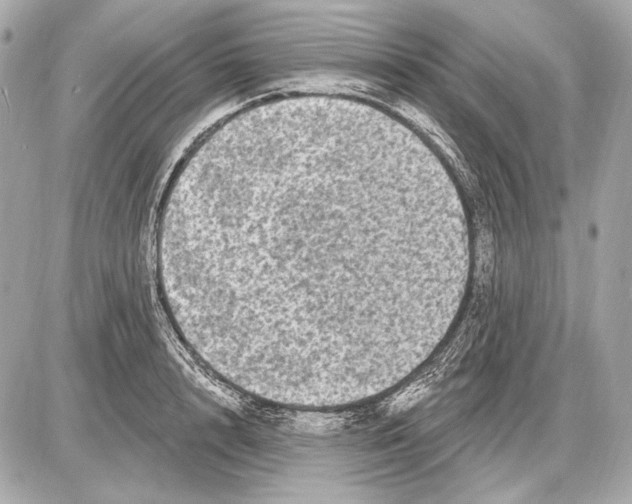 X0000085820848200704091630