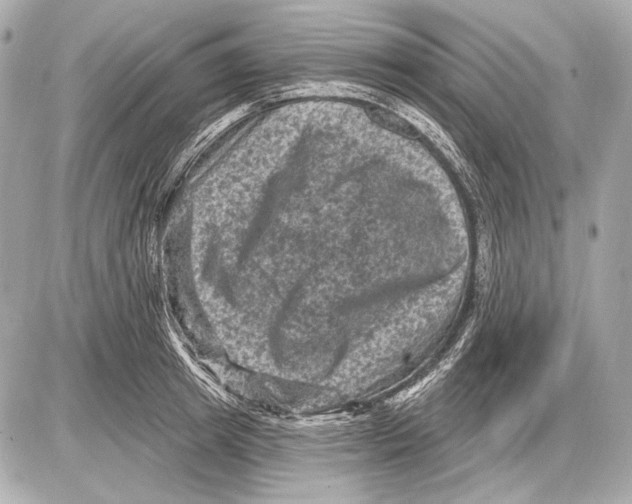 X0000085820849200704091630