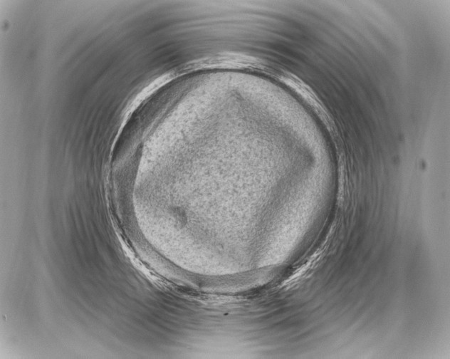 X0000085820850200704091630