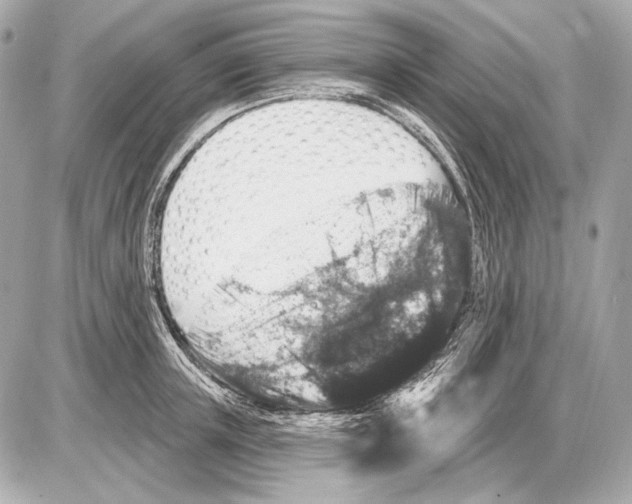 X0000085820851200704091630