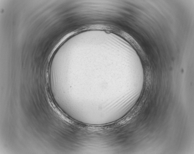 X0000085820852200704091630