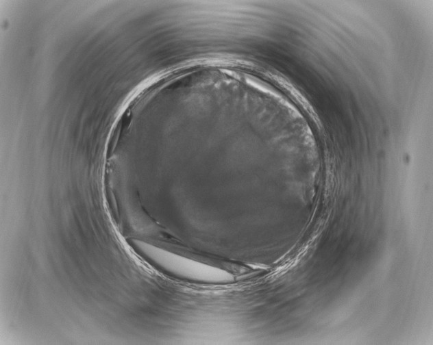 X0000085820853200704091630