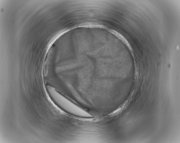 X0000085820855200704091630