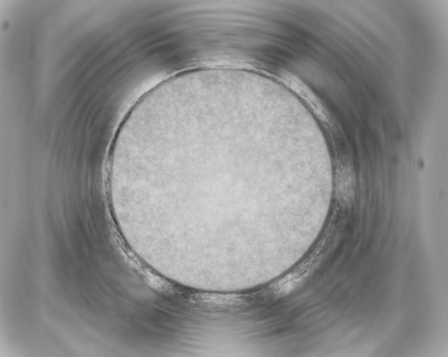 X0000085820856200704091630