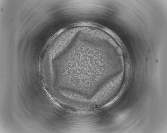 X0000085820857200704091630