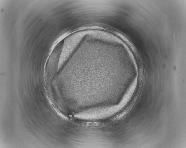 X0000085820858200704091630