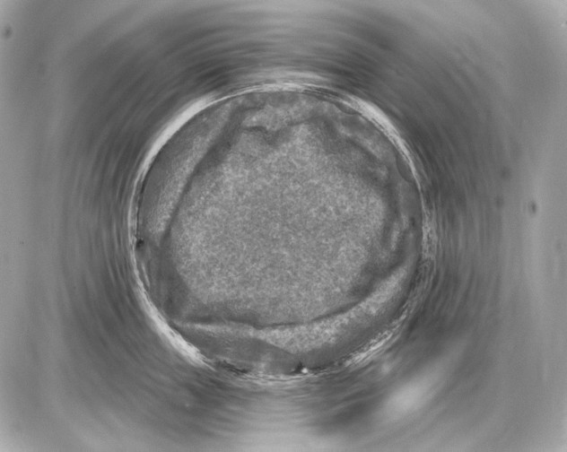 X0000085820859200704091630