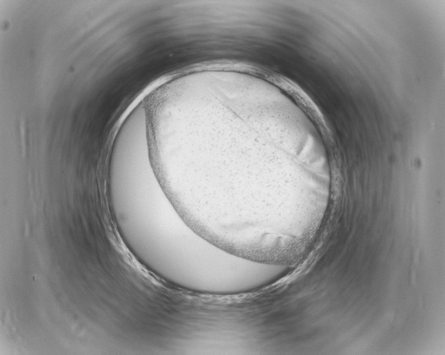 X0000085820860200704091630