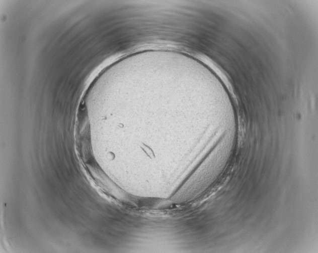 X0000085820861200704091630