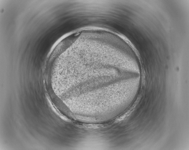 X0000085820862200704091630