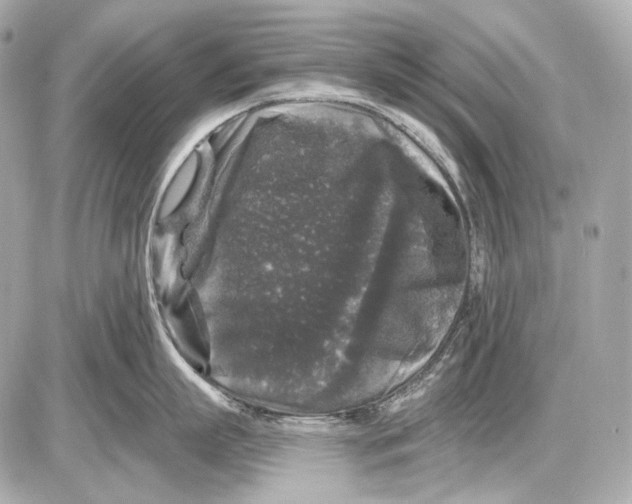 X0000085820863200704091630