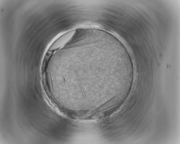 X0000085820864200704091630