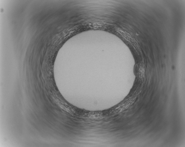 X0000085820865200704091630