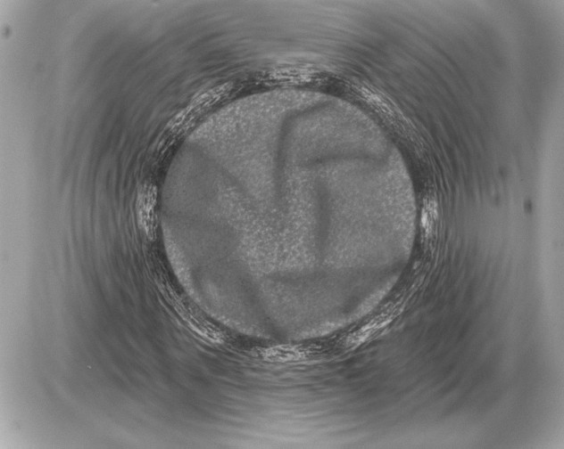 X0000085820867200704091630