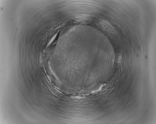 X0000085820868200704091630