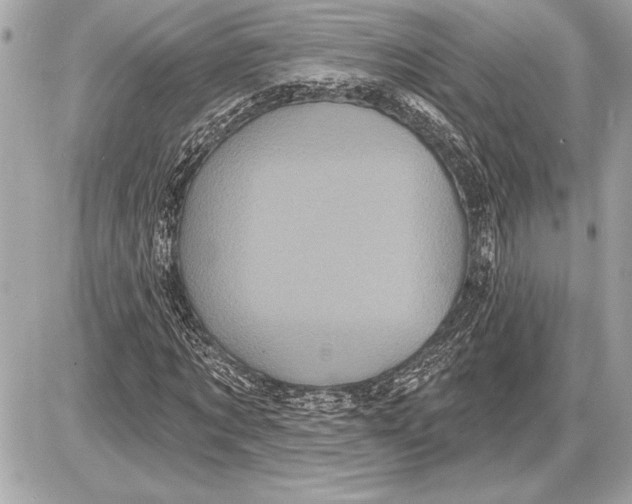 X0000085820869200704091630