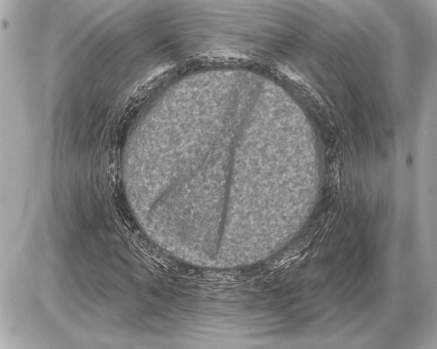 X0000085820870200704091629